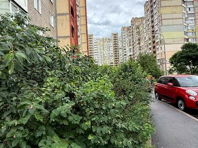 квартира за адресою Миколи Ушакова вул., 18