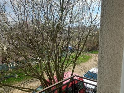 будинок за адресою Чедейська