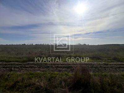 участок по адресу с. Блиставица, Поліська, 1
