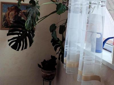 будинок за адресою Караван пров. (Карбишева)