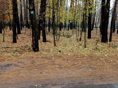 участок по адресу Лесной пер.