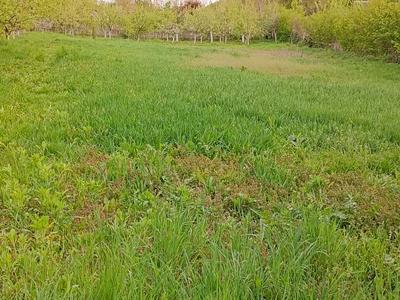 участок по адресу с. Хижинцы, 