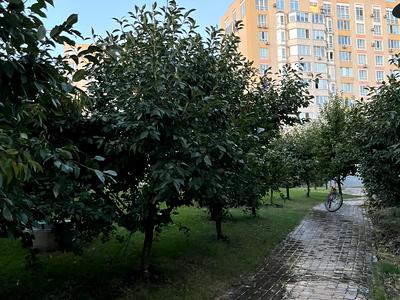 квартира по адресу Леси Украинки бульв., 14в