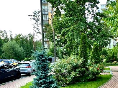 квартира за адресою Анатолія Петрицького вул., 23-А