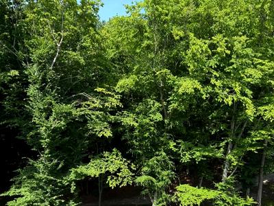 квартира за адресою Бічна Львівська вул., 92