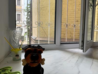 квартира по адресу Шота Руставели ул., 33-Б