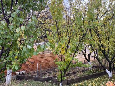 будинок за адресою с. Новоселівка, Вишнева, 2