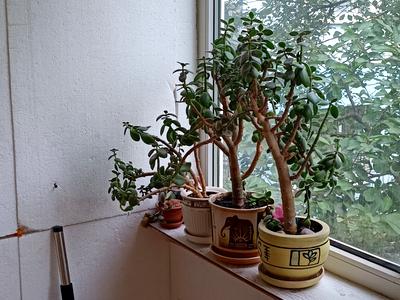 квартира за адресою Квартальна вулиц вул. (Гладкова), 23