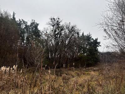 участок по адресу Підлісна