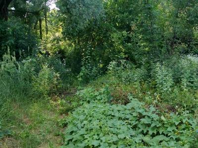 участок по адресу Бродовская ул., 153