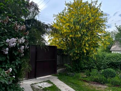 будинок за адресою Центральний пров., 8