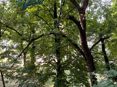 квартира по адресу Леси Украинки бульв., 13