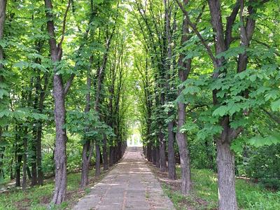 квартира по адресу Уманская ул., 41