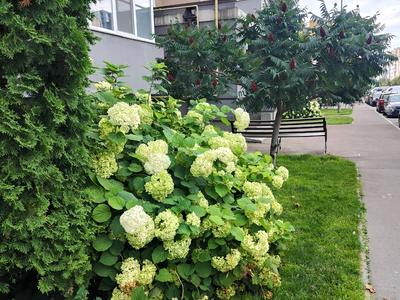 квартира по адресу Метрологическая ул., 54