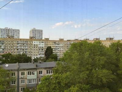квартира по адресу Янтарная ул., 79