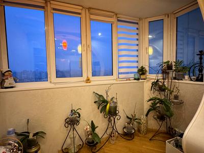 квартира по адресу Олега Мудрака ул. (Генерала Наумова), 66