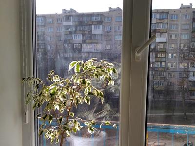 квартира по адресу Милютенко ул., 11-А