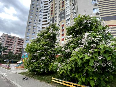 квартира за адресою Юлії Здановської вул. (Ломоносова), 81-Б