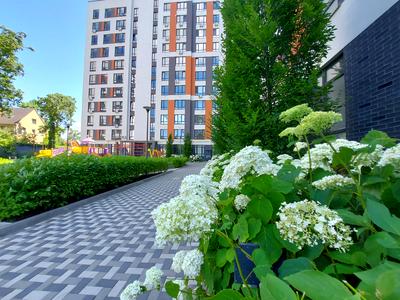 квартира за адресою Павленка вул., 56