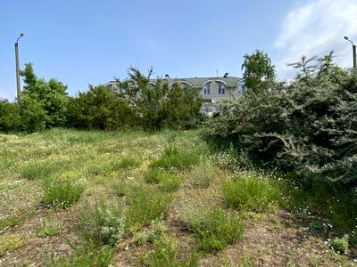 участок по адресу Петра Прокоповича ул. (Фрунзе), 23б