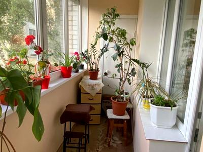 квартира за адресою Новопирогівська вул., 19