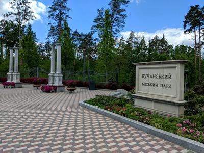 дом по адресу Семьи Забарыло ул., 41