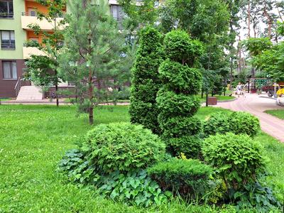 квартира за адресою Анатолія Петрицького вул., 21-А