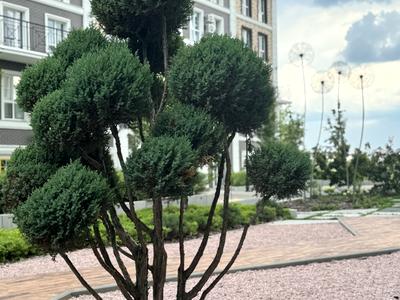 квартира по адресу Михаила Максимовича ул. (Трутенко Онуфрия), 24-В