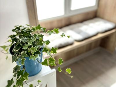 квартира за адресою Театральна вул., 5