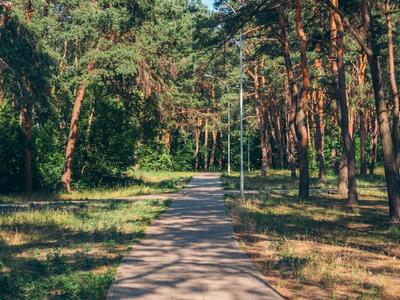квартира по адресу Армянская ул., 6