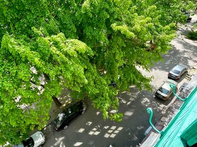 квартира по адресу Романа Ратушного ул. (Волгоградська), 41
