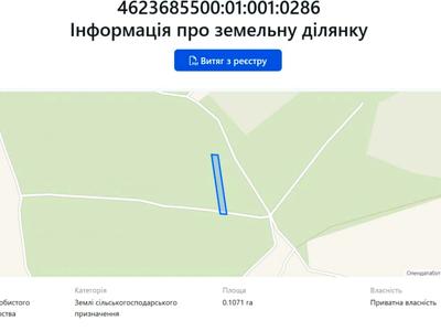 ділянка за адресою шевченка