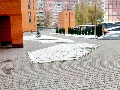 квартира по адресу проспект Миру, 2к