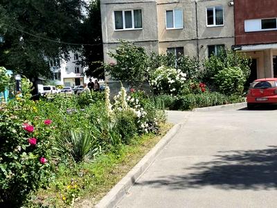 квартира по адресу Пирогова, 89 А