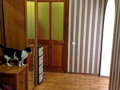 квартира по адресу Садовая ул., 19