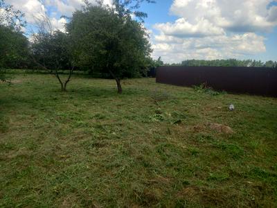 участок по адресу с. Новые безрадичи, Піщана