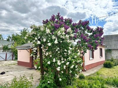 будинок за адресою Уласа Самчука
