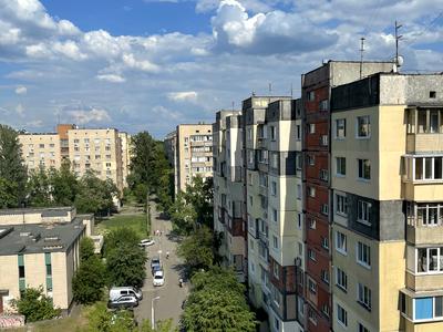 квартира за адресою Остафія Дашкевича вул. (Курнатовського), 6