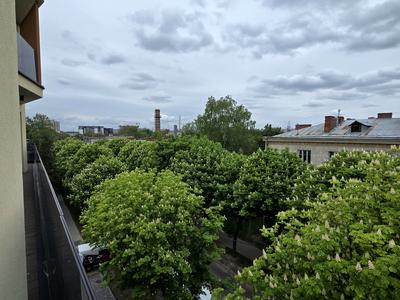 квартира за адресою Окружна вул., 43