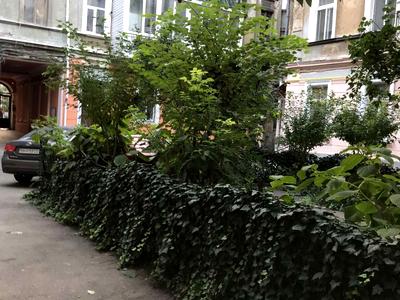 квартира по адресу Софиевская ул., 3
