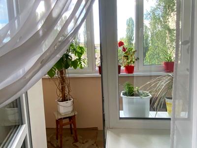 квартира за адресою Новопирогівська вул., 19