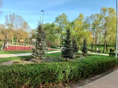 квартира по адресу Николая Кибальчича ул., 3-Б