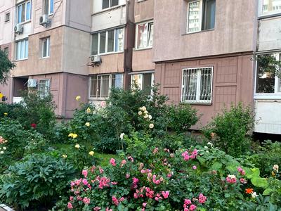 квартира за адресою Олени Пчілки вул., 2-Б