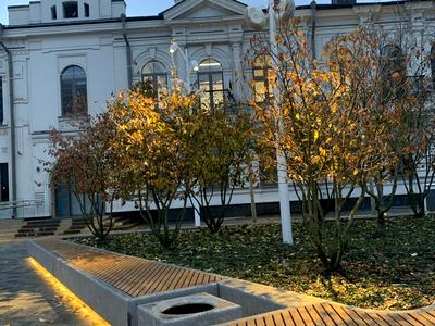 квартира по адресу Литейная ул., 2-Г