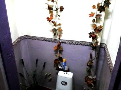 квартира за адресою Шота Руставелі вул., 34