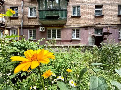 квартира за адресою Олени Теліги вул., 37