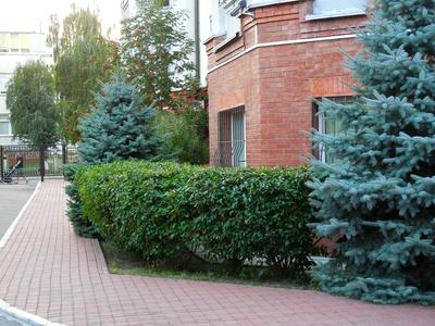 квартира за адресою Пріорська вул. (Полупанова), 10