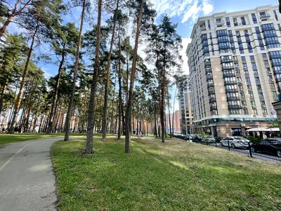 квартира за адресою Університетська вул., 3/8