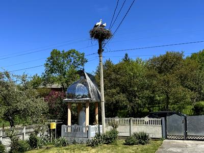 будинок за адресою Лісова, 19