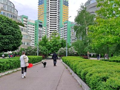 квартира по адресу Вишгородська, 45